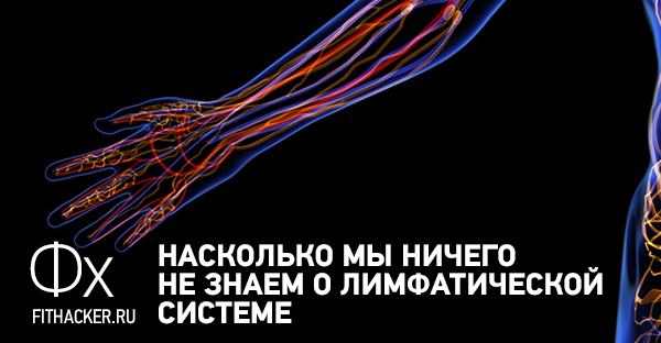 Ольга Бутакова: Лимфатическая система, о чем не знают 90% врачей