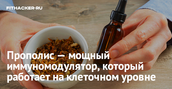 Прополис — мощный иммуномодулятор, который работает на клеточном уровне