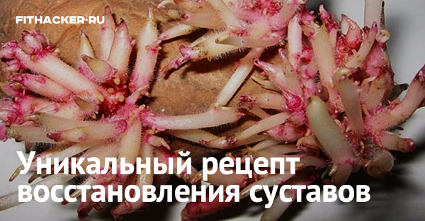 Уникальный рецепт восстановления суставов
