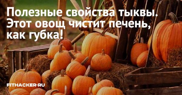 Полезные свойства тыквы. Этот овощ чистит печень, как губка!