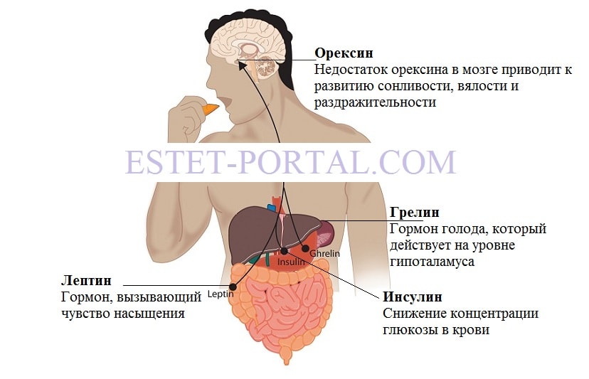 ves-i-hormon1-min