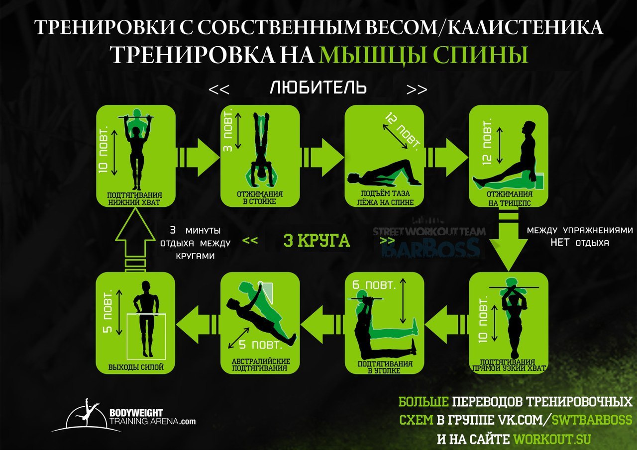 Профессиональные тренировочные программы на все группы мышц