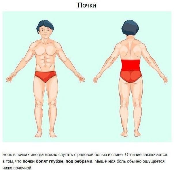 Несколько способов определить по месту локализации причину боли