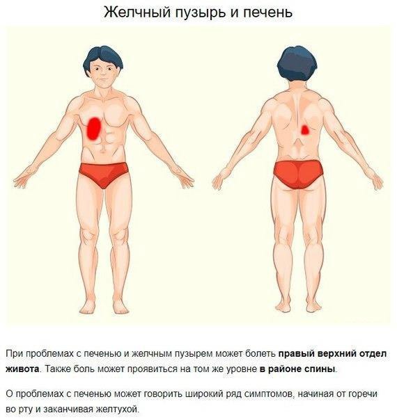 Несколько способов определить по месту локализации причину боли
