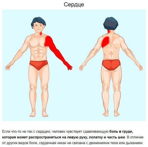 Несколько способов определить по месту локализации причину боли