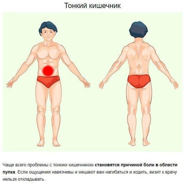 Несколько способов определить по месту локализации причину боли